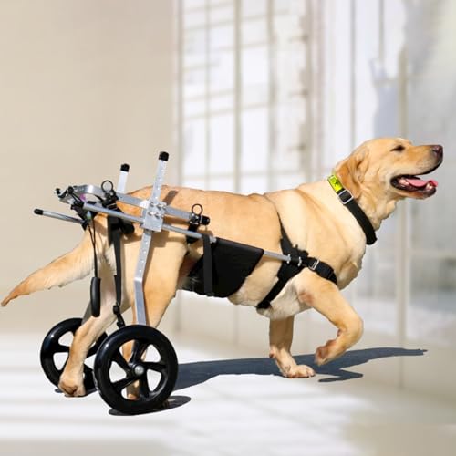 Adjustable Medium Large Wheelchair for Paralyzed Dogs, Rear Leg Walking Aid & Arthritis Brace, Dog Rehabilitation Mobility Aid for Improved Mobility & Comfort