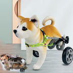 All Terrain Dog Wheelchair for Back Legs - 2-Wheel Pet Mobility Aid, Adjustable Lightweight Dog Leg Brace, Hip Support for Active Dogs, Enhance Pet Mobility