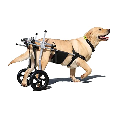 Adjustable Dog Wheelchair for Hind Leg Rehabilitation - Medium, Large & Small Pet Mobility Harness, Lightweight Two-Wheel Support for Dogs with Mobility Issues