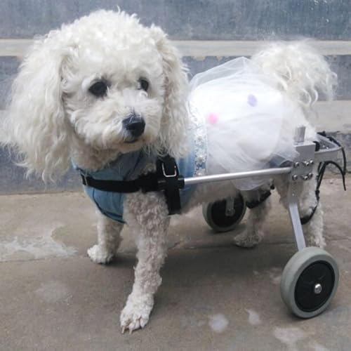 Adjustable Dog Wheelchair for Hind Leg Rehabilitation - Medium, Large & Small Pet Mobility Harness, Lightweight Two-Wheel Support for Dogs with Mobility Issues