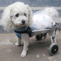 Adjustable Dog Wheelchair for Hind Leg Rehabilitation - Medium, Large & Small Pet Mobility Harness, Lightweight Two-Wheel Support for Dogs with Mobility Issues