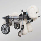 Adjustable Dog Wheelchair for Injured Pets - Full Support Mobility Aid for Front & Back Legs - Durable Aluminum Rehabilitation Cart for Enhanced Mobility