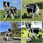 Adjustable Dog Wheelchair for Back Legs, Full Support li Aid for Mum to Lar Dogs, Hip Brace & Pet Wheel Chair for Enhanced li & Independence