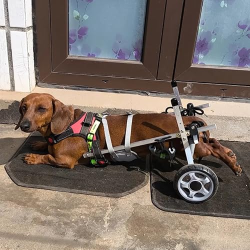 All Terrain Dog Wheelchair for Back Legs - 2-Wheel Pet Mobility Aid, Adjustable Lightweight Dog Leg Brace, Hip Support for Active Dogs, Enhance Pet Mobility