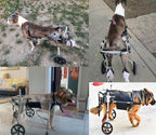 Adjustable Medium Large Wheelchair for Paralyzed Dogs, Rear Leg Walking Aid & Arthritis Brace, Dog Rehabilitation Mobility Aid for Improved Mobility & Comfort