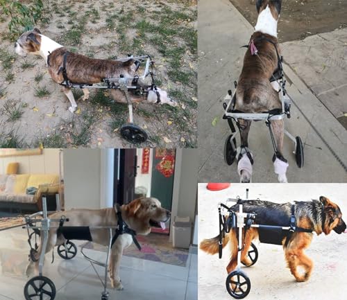 Adjustable Medium Large Wheelchair for Paralyzed Dogs, Rear Leg Walking Aid & Arthritis Brace, Dog Rehabilitation Mobility Aid for Improved Mobility & Comfort