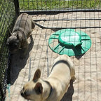 8' X 12' Ultimate Dog Kennel Standard (Powder-Coated)