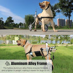 Adjustable Medium Large Wheelchair for Paralyzed Dogs, Rear Leg Walking Aid & Arthritis Brace, Dog Rehabilitation Mobility Aid for Improved Mobility & Comfort