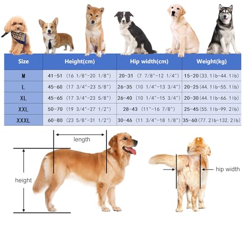 Adjustable Medium Large Wheelchair for Paralyzed Dogs, Rear Leg Walking Aid & Arthritis Brace, Dog Rehabilitation Mobility Aid for Improved Mobility & Comfort