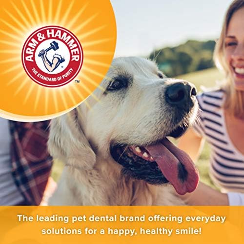 Arm & Hammer, Dog Dental Mints, Tartar Control, Beef Flavor, 40 Count