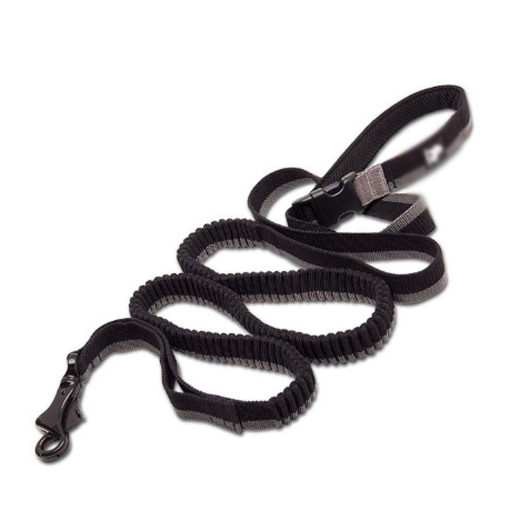 Adjustable Nylon Elastic Stretchable Pet Leash, Used for Running, Jogging and Supplies