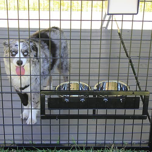 8' X 12' Ultimate Dog Kennel Standard (Powder-Coated)