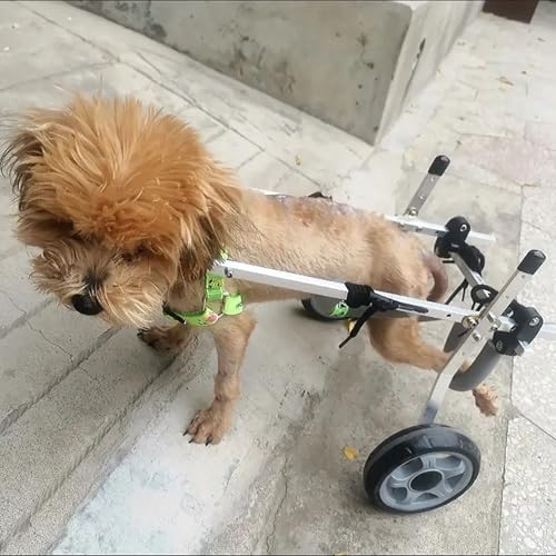 All Terrain Dog Wheelchair for Back Legs - 2-Wheel Pet Mobility Aid, Adjustable Lightweight Dog Leg Brace, Hip Support for Active Dogs, Enhance Pet Mobility