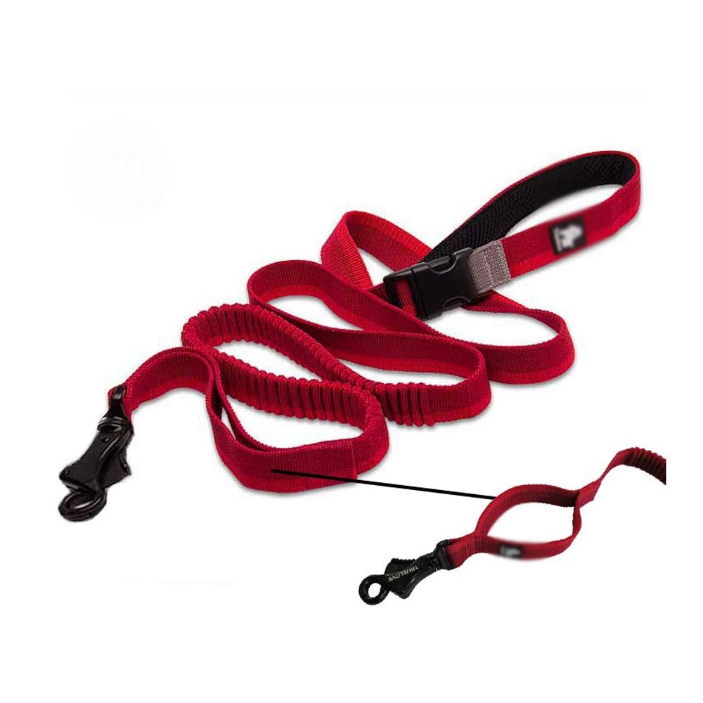 Adjustable Nylon Elastic Stretchable Pet Leash, Used for Running, Jogging and Supplies