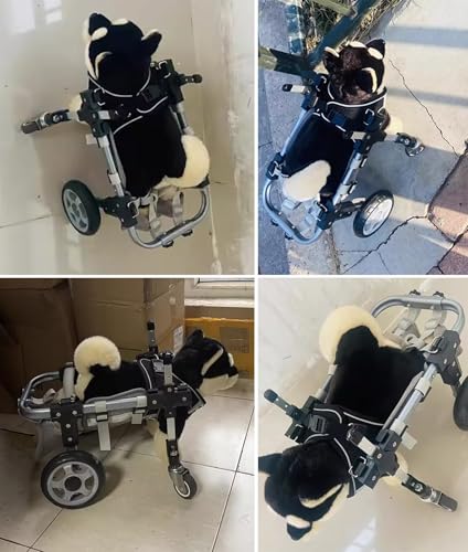 Adjustable Dog Wheelchair for Injured Pets - Full Support Mobility Aid for Front & Back Legs - Durable Aluminum Rehabilitation Cart for Enhanced Mobility