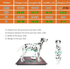 Adjustable Dog Wheelchair for Hind Leg Rehabilitation - Medium, Large & Small Pet Mobility Harness, Lightweight Two-Wheel Support for Dogs with Mobility Issues