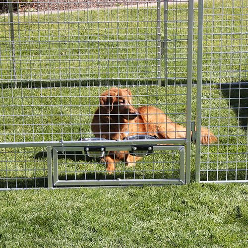 8' X 24' Basic Dog Kennel Pro (Galvanized)