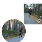 Adjustable Nylon Elastic Stretchable Pet Leash, Used for Running, Jogging and Supplies
