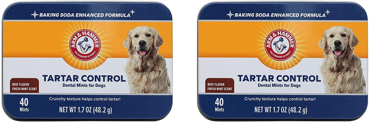 Arm & Hammer, Dog Dental Mints, Tartar Control, Beef Flavor, 40 Count