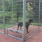 8' X 24' Basic Dog Kennel Pro (Galvanized)