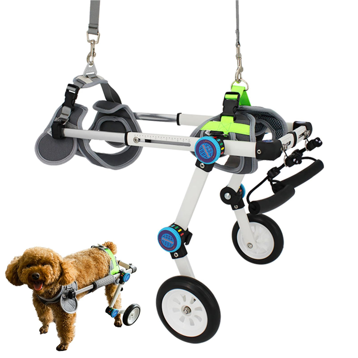 Adjustable Dog Cart, Dog Wheelchair for Back Legs, Foldable Dog Wheelchair Dog Leg Brace and Hip Support Assist Small Pets with Paralyzed Hind Limbs to Recover Their Mobility,XL