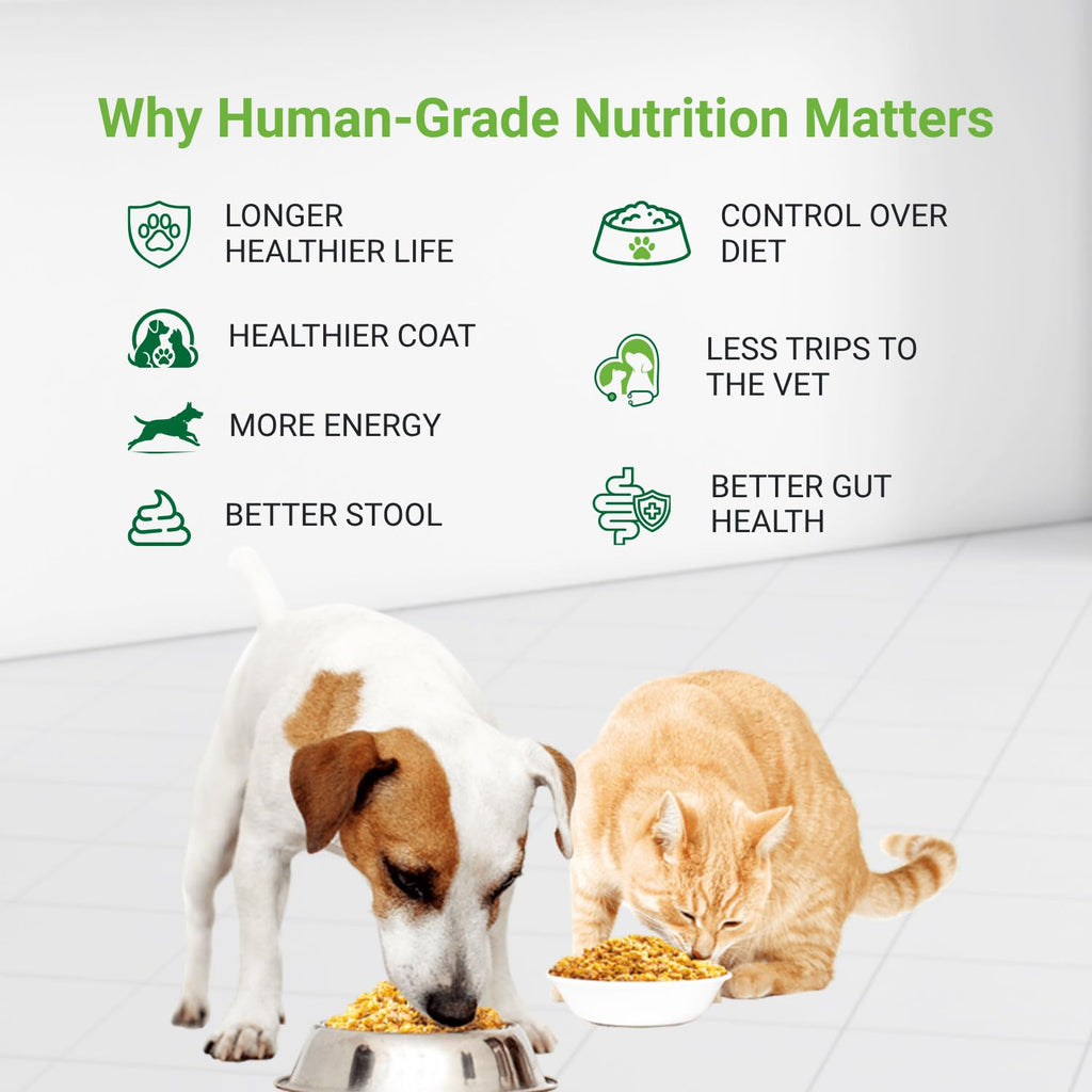 4-in-1 Pet Food Maker/Multi-Cooker- 4.5 Quart Capacity