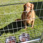 8' X 16' Complete PRO Kennel (Galvanized)