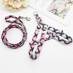 Adjustable Nylon Dog Sling Leash Set Printed Puppy Vest Pet Walking Leash Suitable for Small and Medium-Sized Dogs (D S)