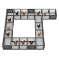 Anleolife Chicken Tunnel, Predator Proof Galvanized Modular Chicken Run