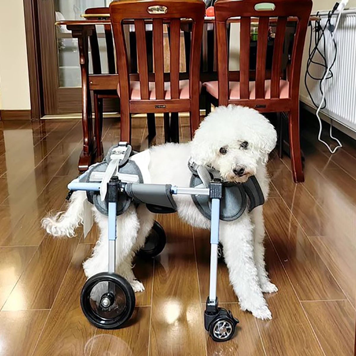 4 Wheel Dog Wheelchair Full Support, Adjustable Dog Mobility Aids for Back Hind Legs, Disabled Doggy Knee Brace for Torn Acl Hind Leg, Dog Walk Tools(S)