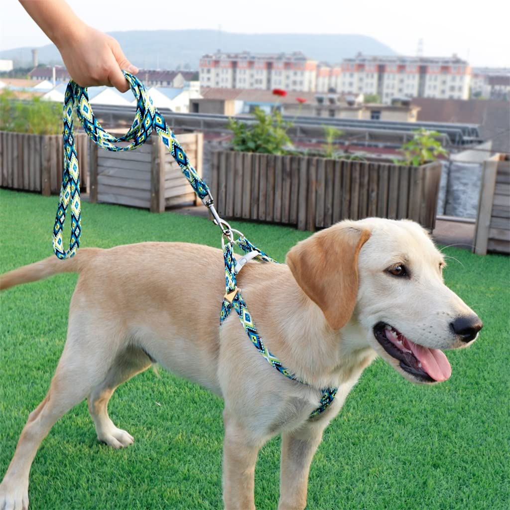 Adjustable Nylon Dog Sling Leash Set Printed Puppy Vest Pet Walking Leash Suitable for Small and Medium-Sized Dogs (D S)