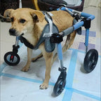 Adjustable Full Support Dog Wheelchair/Pets Cart, Dog Mobility Aids for Back Legs Pet Activity Structure, Disabled Leg Brace for Dogs Back Leg(XL)