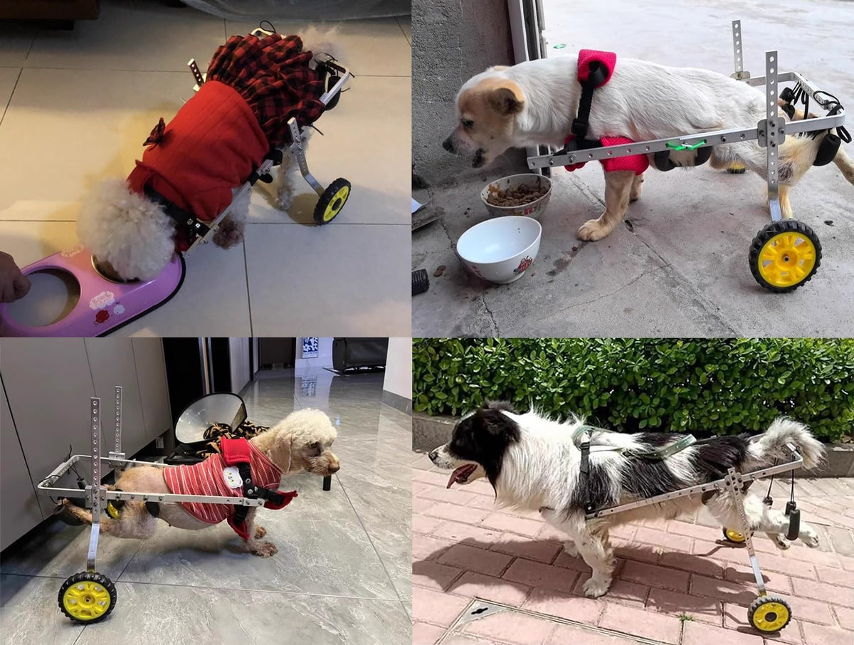 Adjustable 2-Wheel Dog Wheelchair for Back Legs - Pet Knee Brace Cart for Large, Medium & Small Dogs & Cats - Injury Recovery Stroller (L Size)