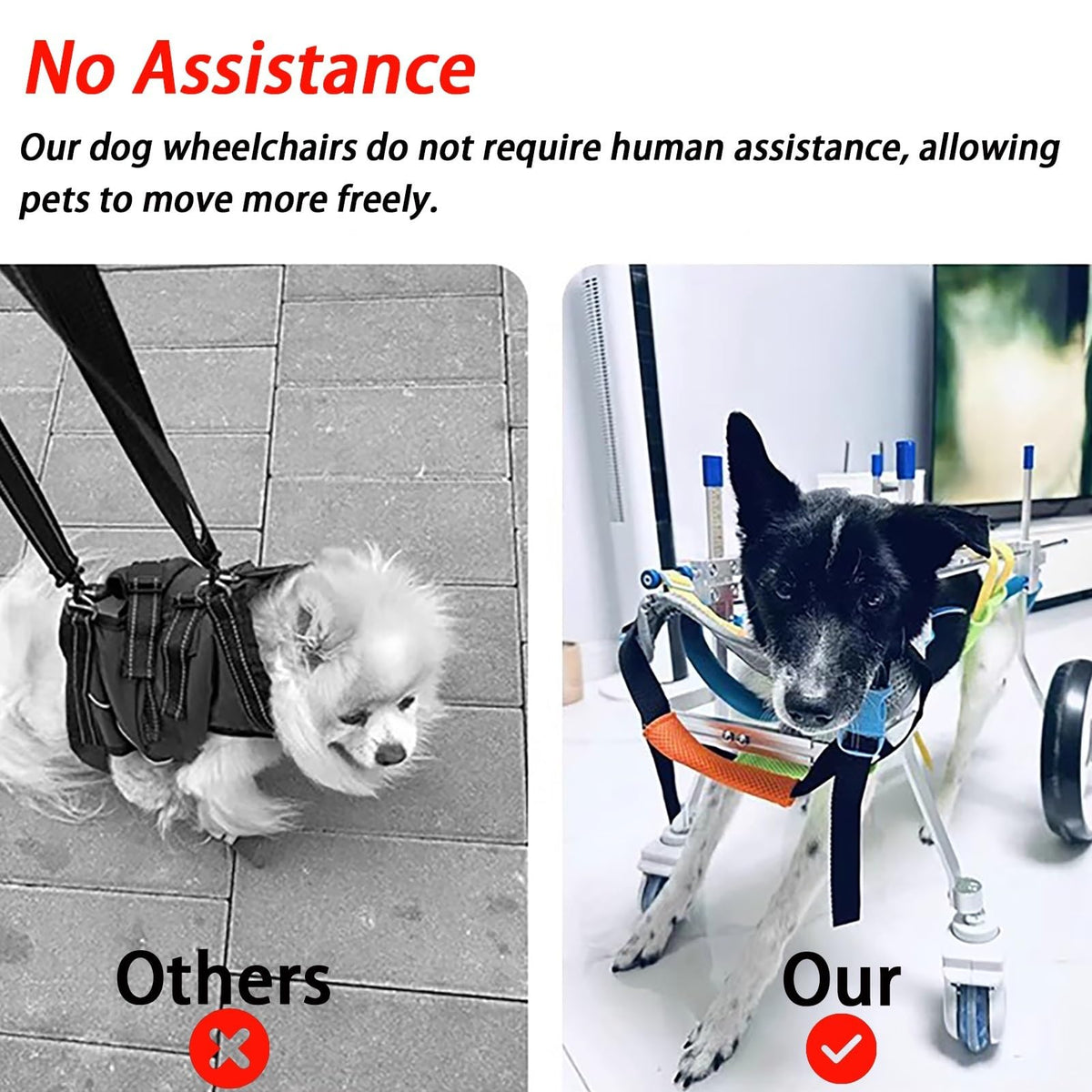 Adjustable Dog Wheelchair Cat Wheelchairs Cart, Full Support Dog Assisted Walking Device for Limbs Recover, Pet Mobility Aid Small Medium Large(Medium)