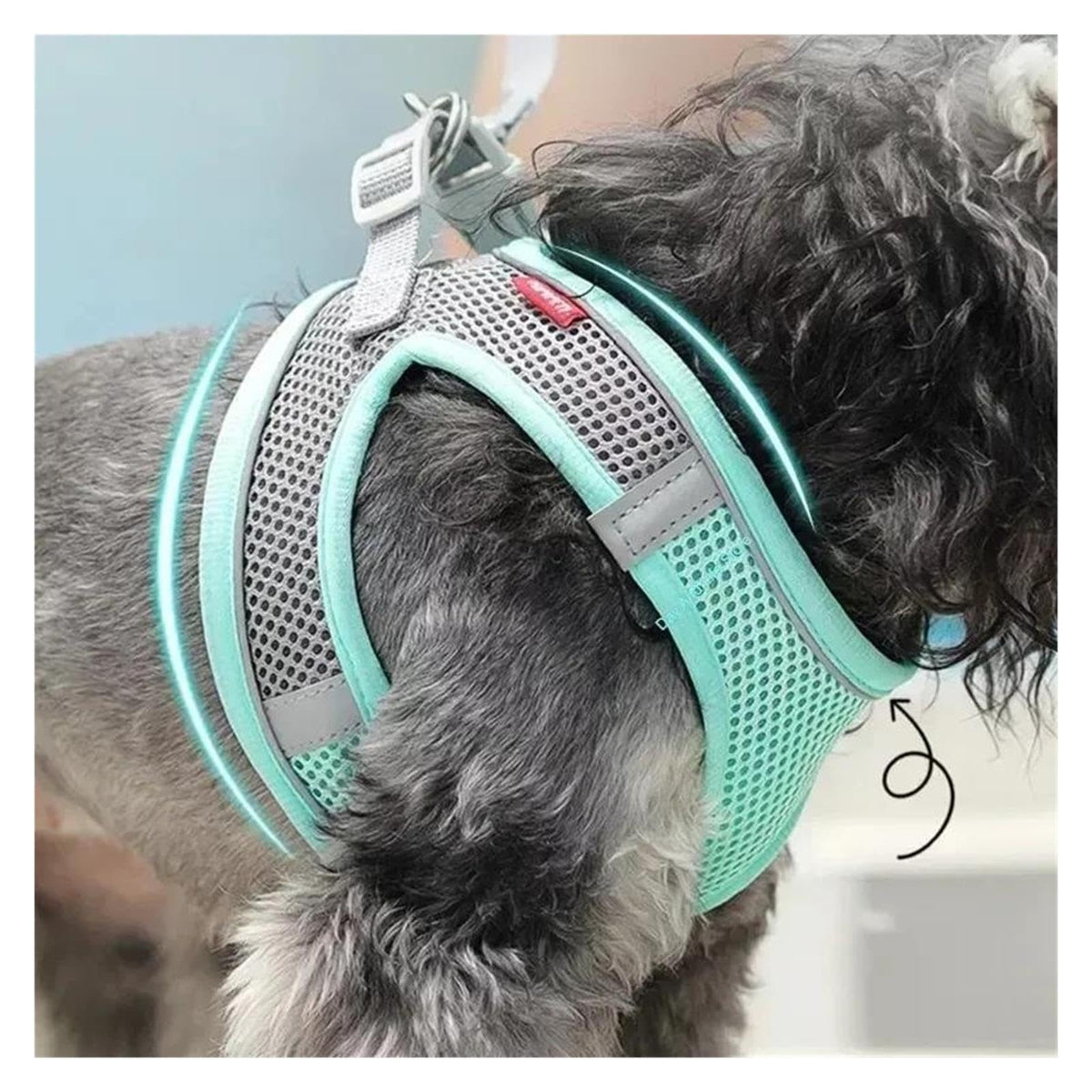 Adjustable Pet Vest Dogs French Bulldog Chihuahua Small Dog Collar Supplies