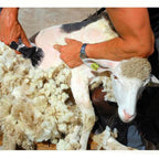 1200W Electric Sheep Pet Hair Clipper Shearing Kit,110V/220V Shear Wool Cut Goat Pet Animal Shearing Supplies Farm Cut Machine