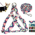 Adjustable Nylon Dog Sling Leash Set Printed Puppy Vest Pet Walking Leash Suitable for Small and Medium-Sized Dogs (D S)