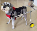 Adjustable 2-Wheel Dog Wheelchair for Back Legs - Pet Knee Brace Cart for Large, Medium & Small Dogs & Cats - Injury Recovery Stroller (L Size)