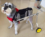 Adjustable 2-Wheel Dog Wheelchair for Back Legs - Pet Knee Brace Cart for Large, Medium & Small Dogs & Cats - Injury Recovery Stroller (L Size)