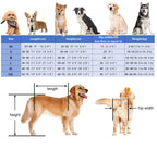 2 Tires Dog Wheelchair for Pet Mobility, Light Weight Dog Walk Support Leg Brace Adjustable, Large Medium Small Pets Wheel Chair for Hip Support(Size XXL)