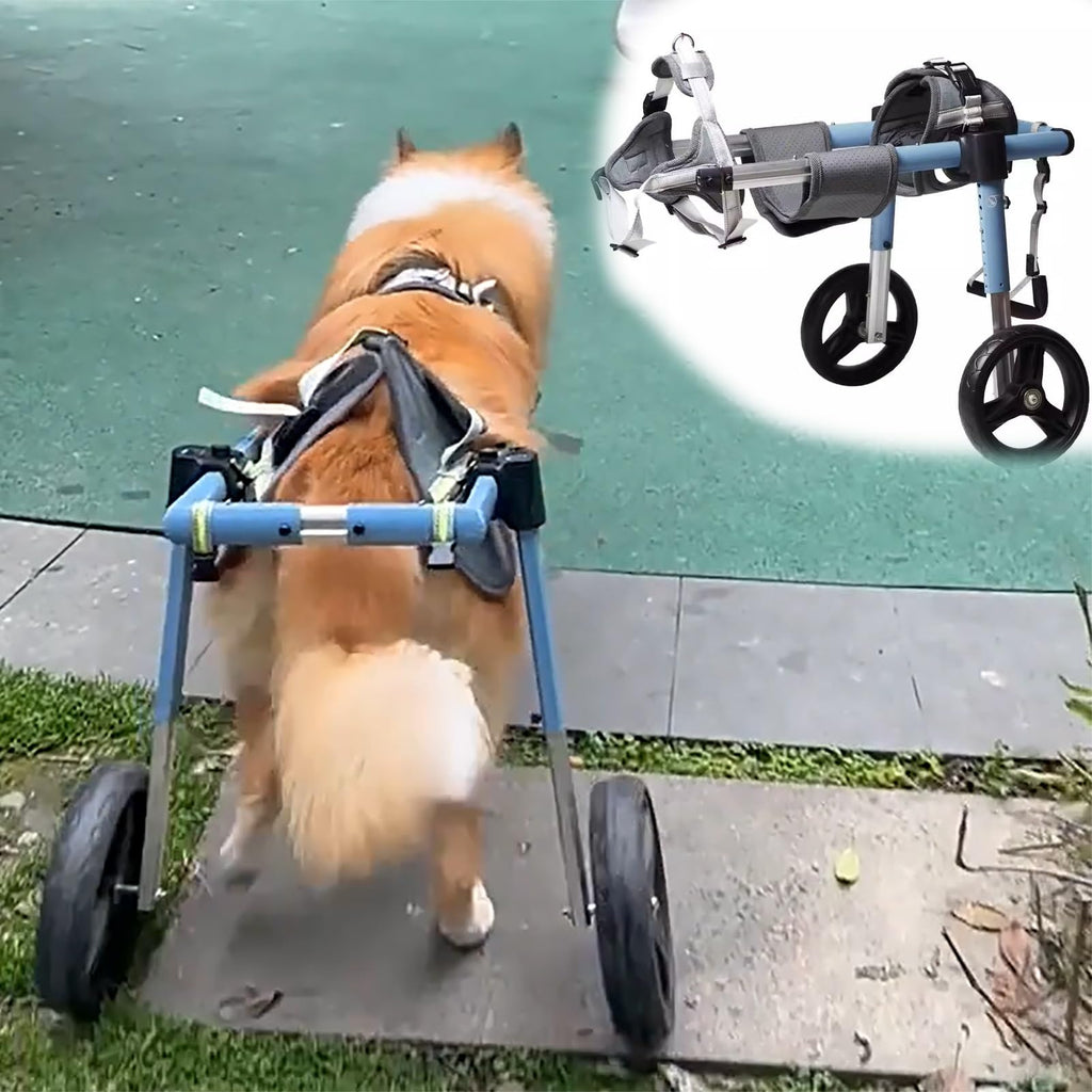 2 Tires Dog Wheelchair for Pet Mobility, Light Weight Dog Walk Support Leg Brace Adjustable, Large Medium Small Pets Wheel Chair for Hip Support(Size XXL)