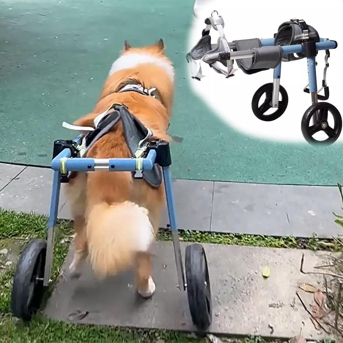 2 Tires Dog Wheelchair for Pet Mobility, Light Weight Dog Walk Support Leg Brace Adjustable, Large Medium Small Pets Wheel Chair for Hip Support(Size XXL)