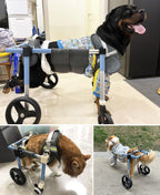 Adjustable 4-Wheel Dog Wheelchair for Back Legs - Pet Mobility Aid for All Breeds - Full Support Leg Braces for Small, Medium & Large Dogs - Enhance Mobility & Comfort