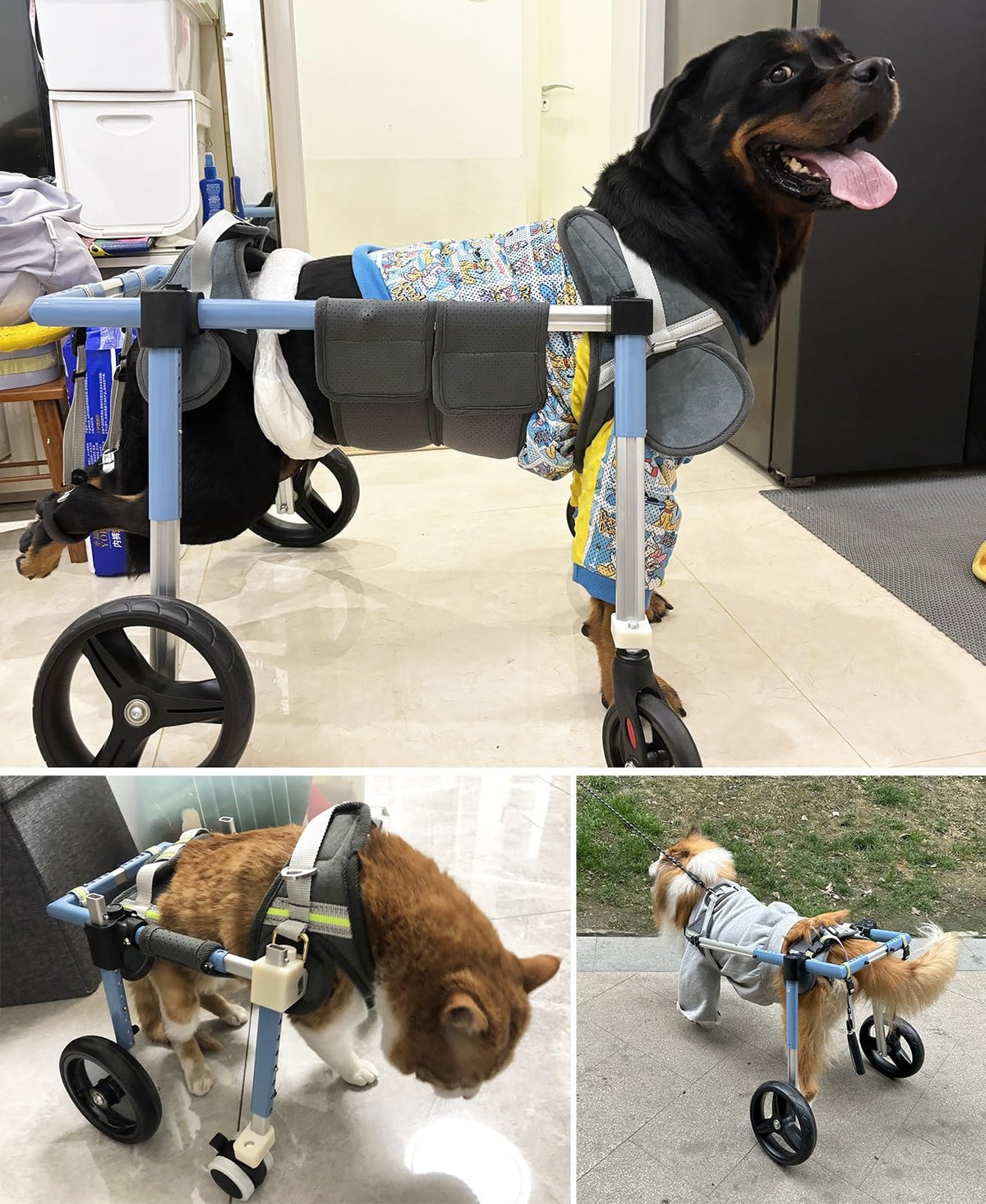 Adjustable 4-Wheel Dog Wheelchair for Back Legs - Pet Mobility Aid for All Breeds - Full Support Leg Braces for Small, Medium & Large Dogs - Enhance Mobility & Comfort