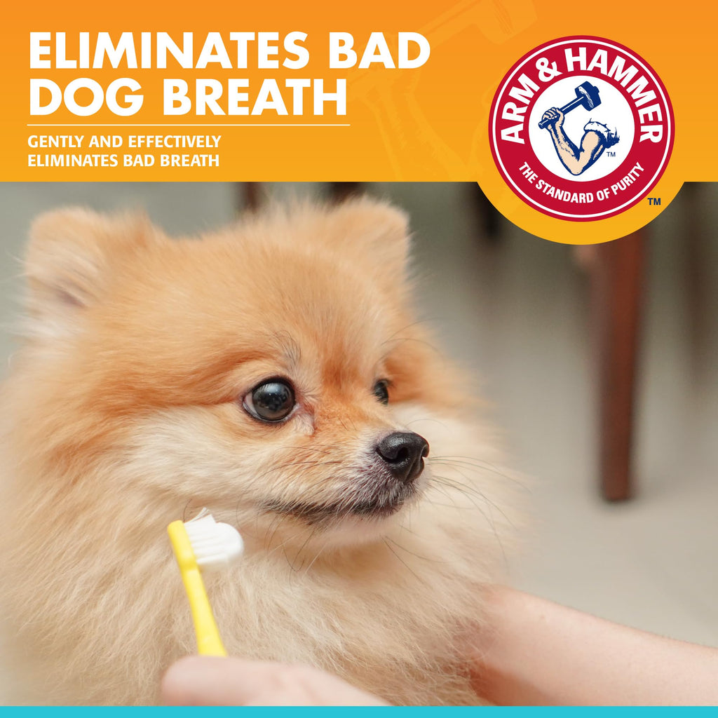 Arm & Hammer, Dog Dental Mints, Tartar Control, Beef Flavor, 40 Count