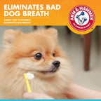Arm & Hammer, Dog Dental Mints, Tartar Control, Beef Flavor, 40 Count