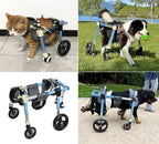 4 Wheels Dog Wheel Chair Pet Mobility Aid, XS/S/M/L/XL/XXL Full Support Assist, Doggie Wheelchair Leg Braces for Disabled Handicapped Injured Lame