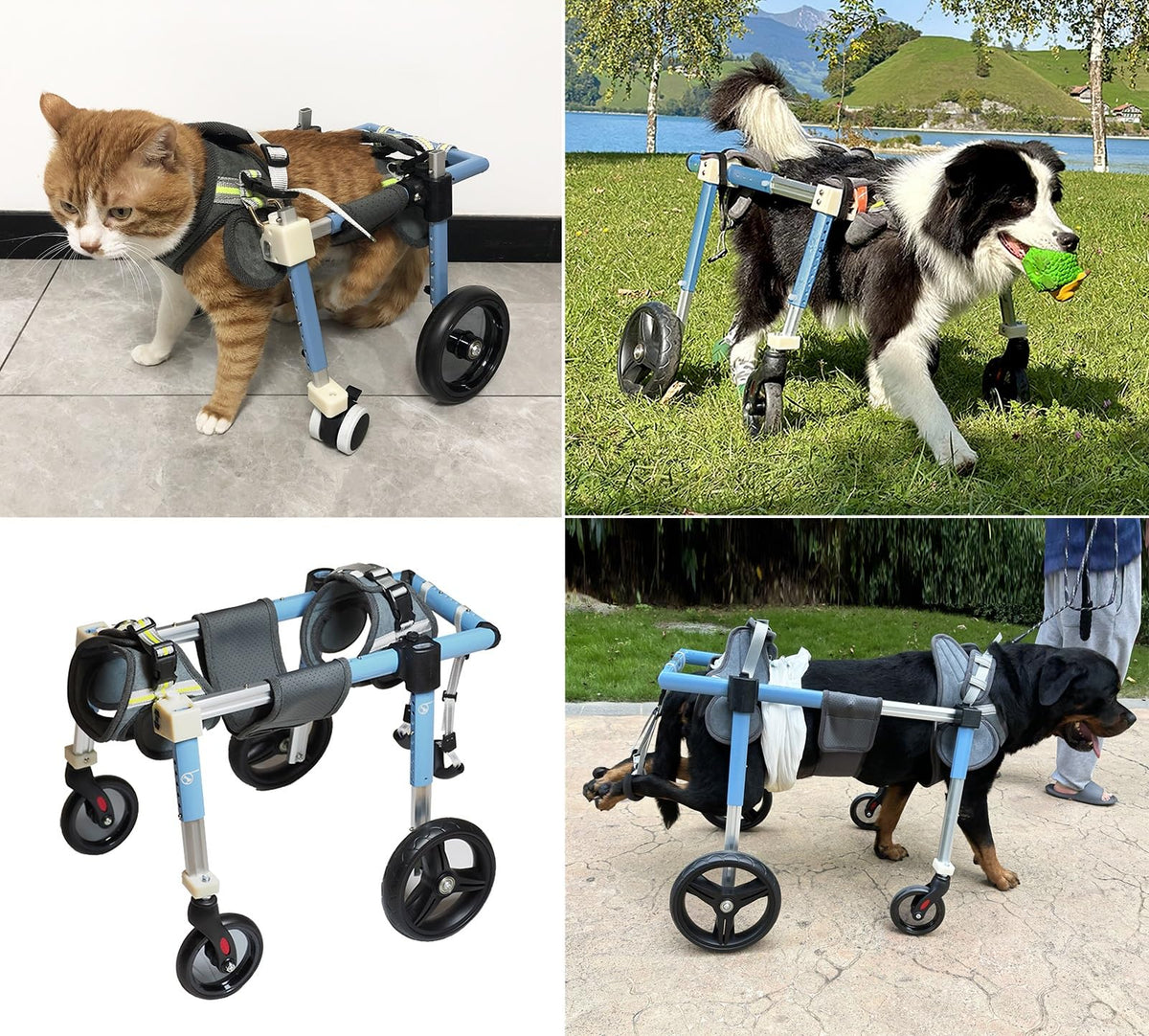 4 Wheels Dog Wheel Chair Pet Mobility Aid, XS/S/M/L/XL/XXL Full Support Assist, Doggie Wheelchair Leg Braces for Disabled Handicapped Injured Lame
