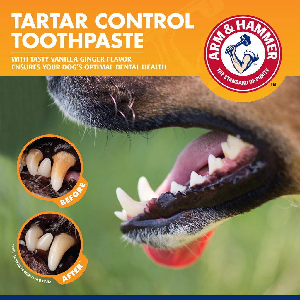 Arm & Hammer, Dog Toothbrush, Dog Toothpaste, Puppy Dental Kit, 60 Pack