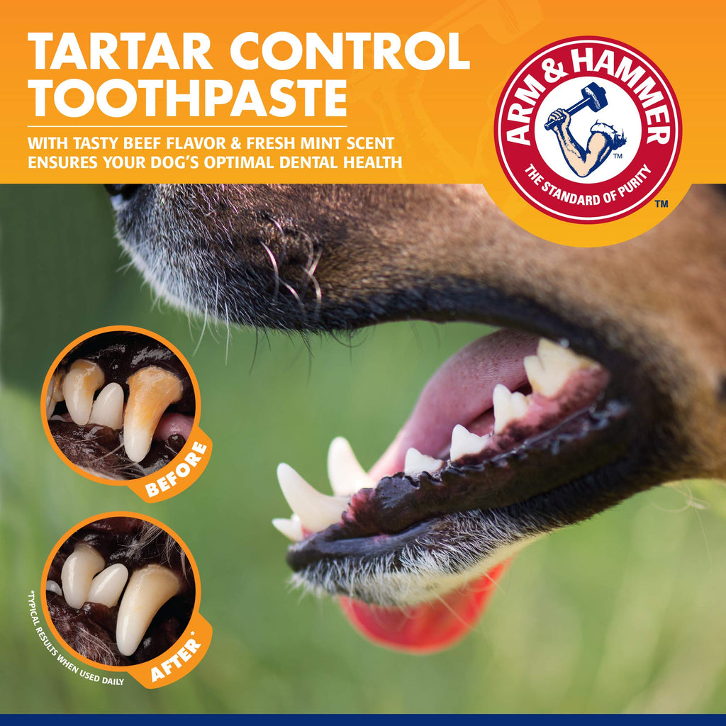 Arm & Hammer Dog Toothpaste, Enzymatic Tartar Control, 72 Pack